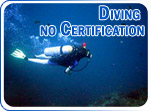 Diving no Certification