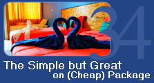 The Simple bu great on cheap Package