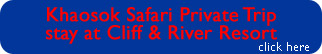 Khaosok Safari Private Trip stay at Cliff & River Resort