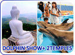 Dolphin Show and 2 Temples