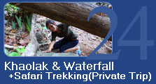 Khao-Lak Mountain + Waterfall + Safari Trekking