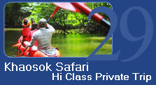 Khaosok Safari Private Trip