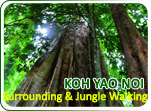 Koh Yao Noi Surrounding and Jungle Walking