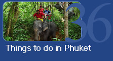 Thing to do in Phuket