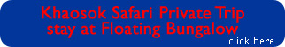 Khaosok Safari Private Trip stay at Floating Bungalow
